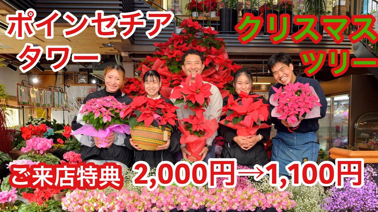 【12月限定】ポインセチアXmasタワー（ご来店特典あり、記念撮影OK）