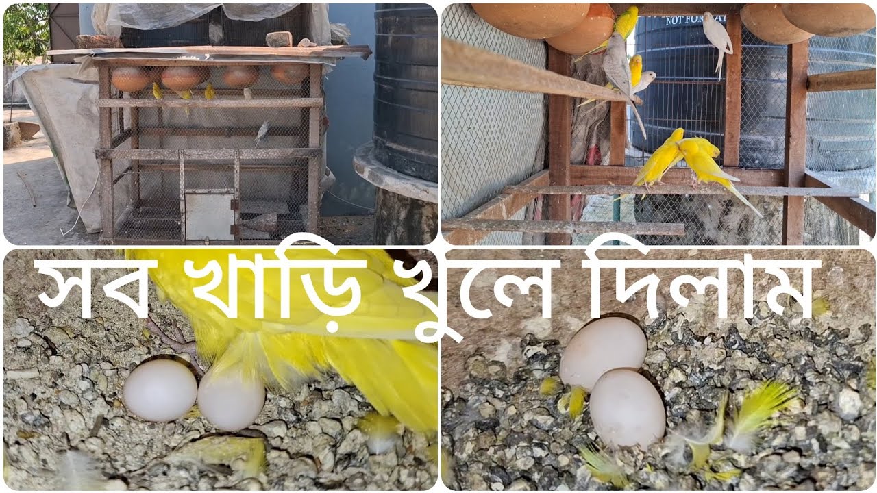 সব গুলো খাড়ি খুলে দিলাম February 28, 2026