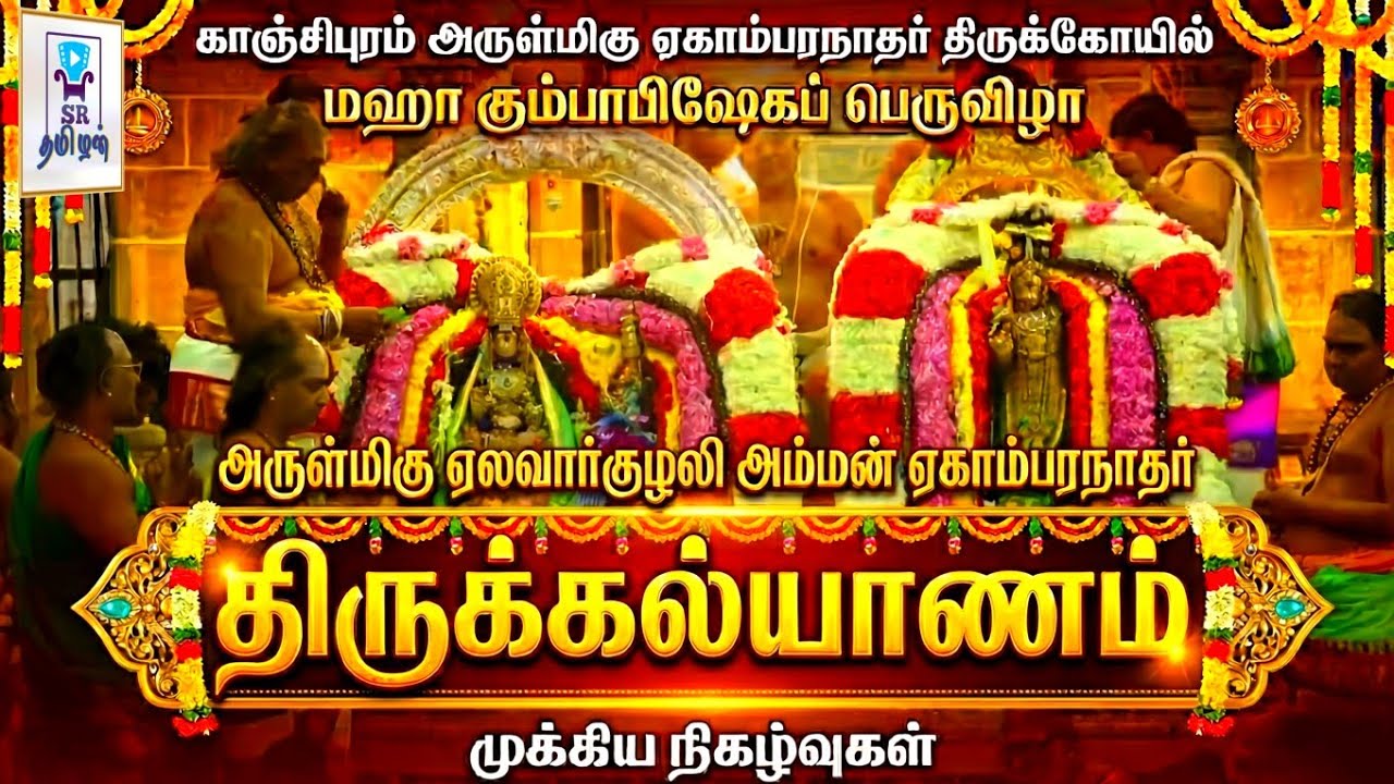 பார்த்தாலே கோடி புண்ணியம்! | காஞ்சி ஸ்ரீ ஏகாம்பரநாதர் ஏலவார்குழலி அம்மன் திருக்கல்யாணம் | @SRTamilan