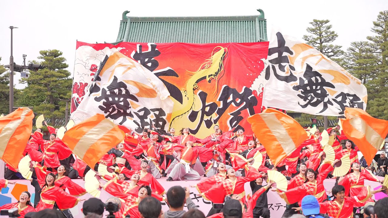 [4K] 京炎そでふれ！志舞踊 2025年度演舞『幕燈(まくあけ)』初披露　京都さくらよさこい 2025 さくよさ 土曜日 神宮道会場