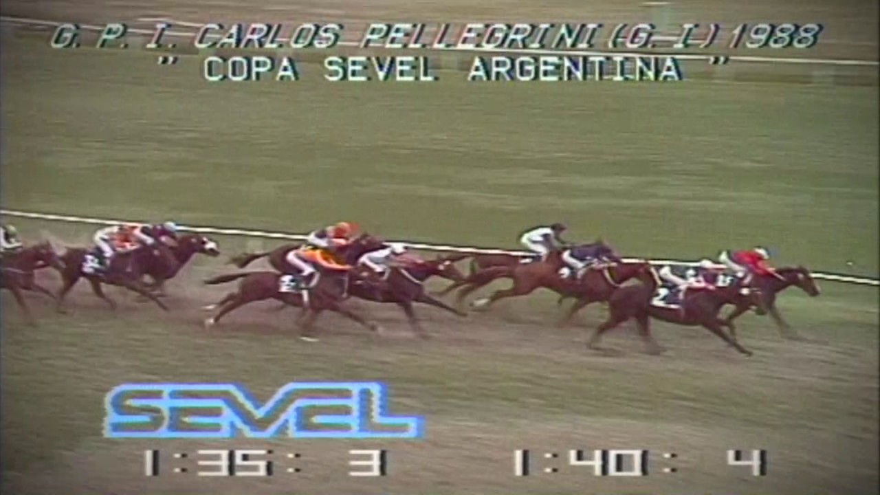 1988 G P PELLEGRINI -  MONTUBIO  O .ZAPATA