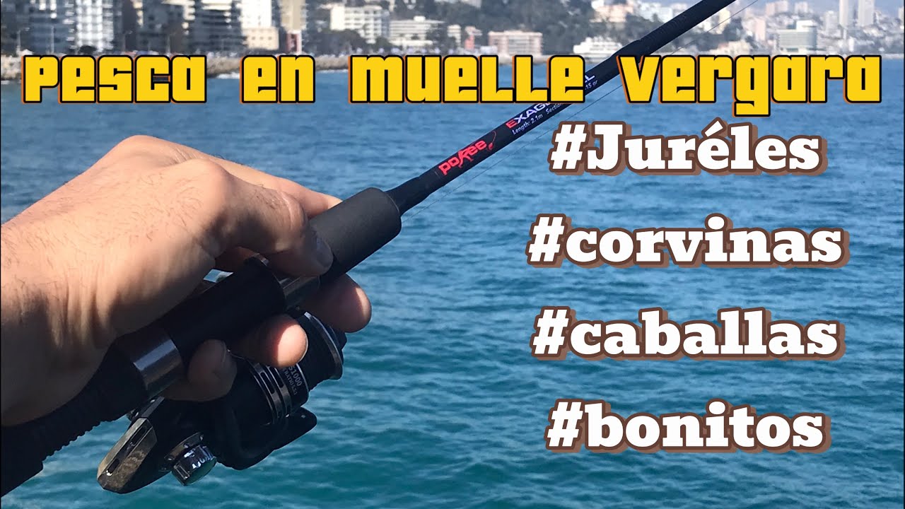 Pesca en Muelle Vergara - Viña del Mar Chile - Corvinas, Bonitos, Jureles - full pique!