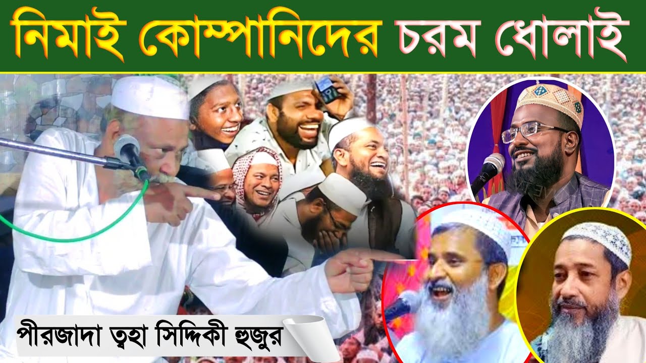 নিমাই কোম্পানিদের চরম ধোলাই // আহ্ কি দিলো রে ভাই পীরজাদা তহা সিদ্দিকী হুজুর Pirzada toha Siddiqui