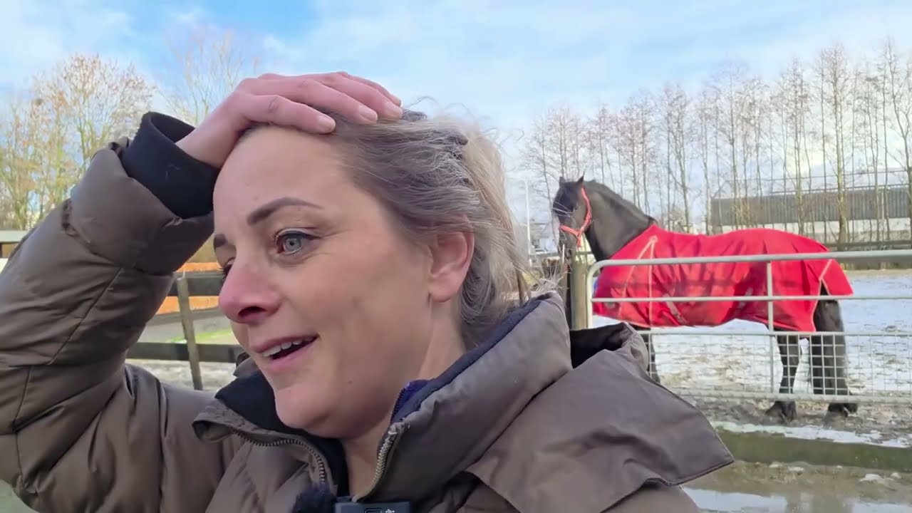 Nieuw jaar… en meteen een mega investering 🙈😍 | PHDressage