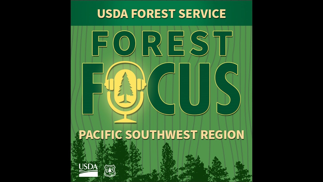Forest Focus Podcast — Episode 26: Chinese Heritage Sites on California National Forests
