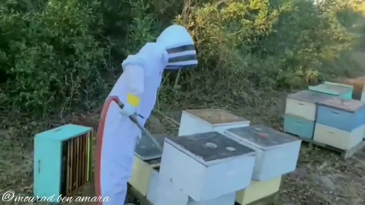 الربيع الصناعي ↩الخرافة والوهم العربي🚦
