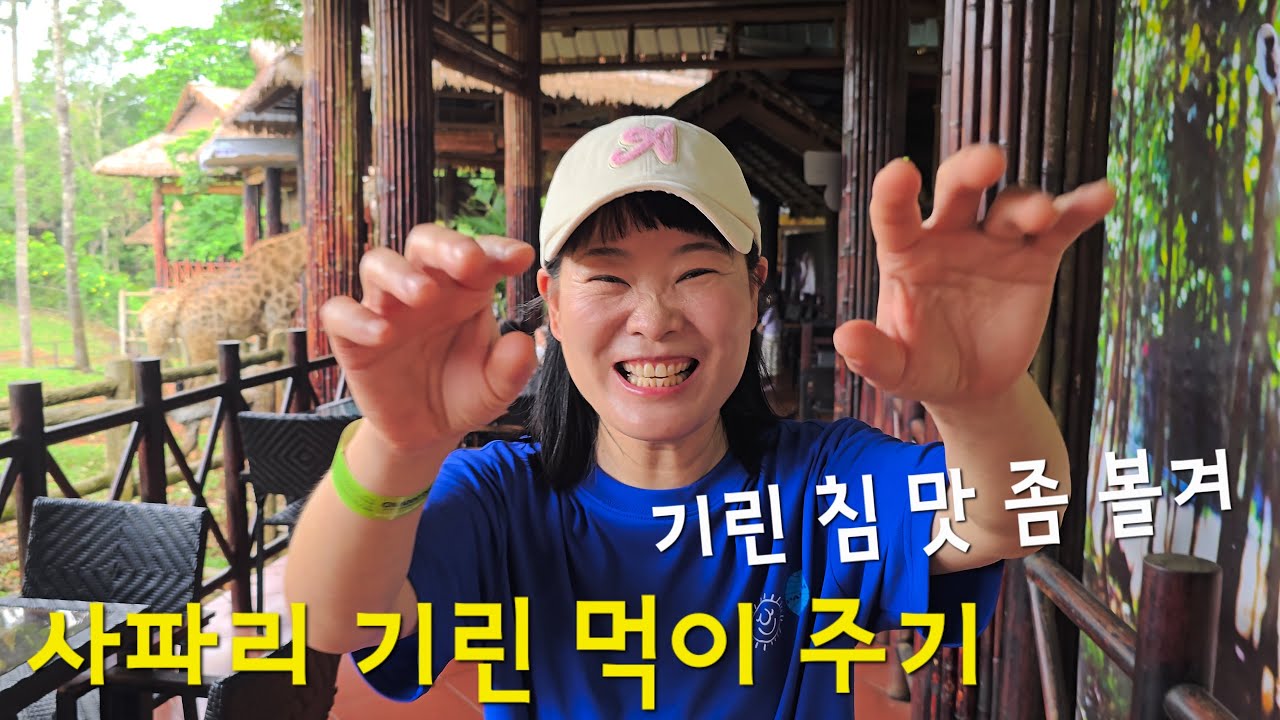 [ 🇻🇳 EP.18 푸꾸옥 ] 서비스까지 해주는 원숭이 / 리얼 옥상뷰? / 최고의 인피니티풀 / 세일링클럽 불쇼
