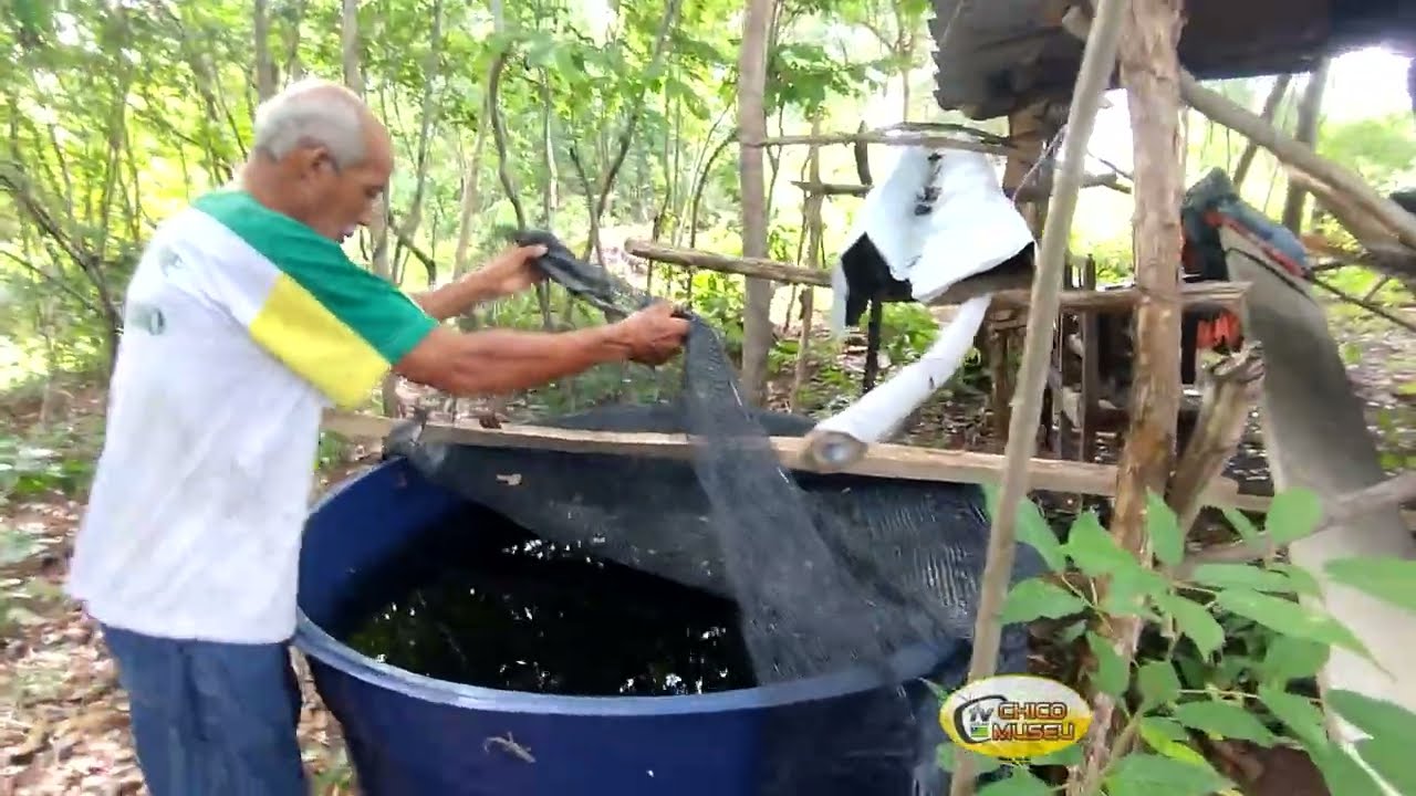 HOMEM DA ROÇA TEM MEDO DAS ONÇAS