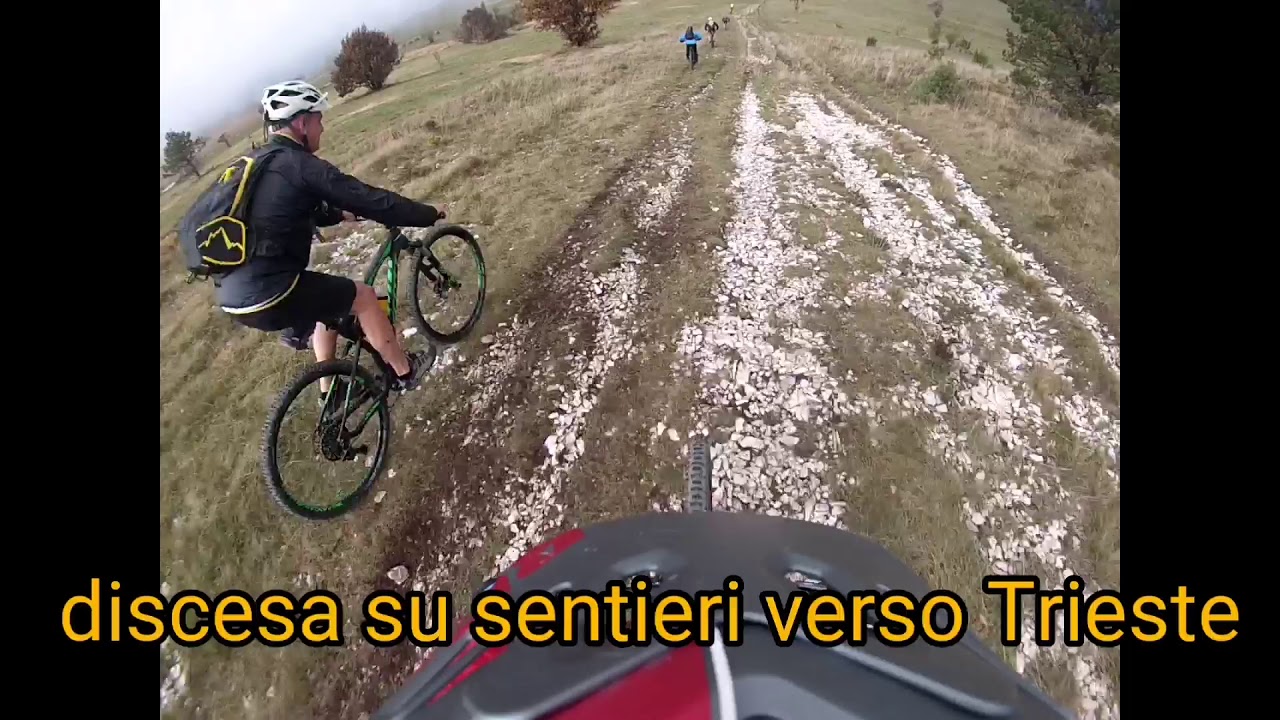 Mtb 19 ottobre 2019 monte Slavnik Slovenia da Trieste