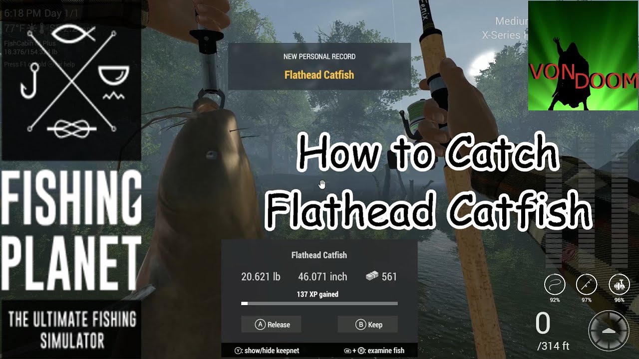 Fishing Planet: How-to Catch Flathead Catfish in North Carolina