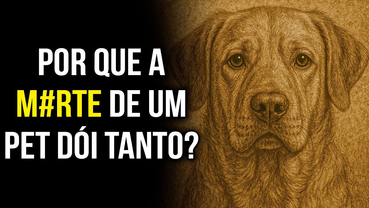Por que o LUTO por um PET dói tanto? Pitágoras responde.