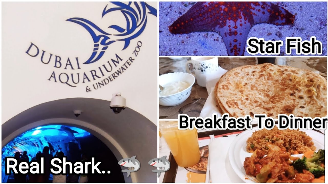 Morning To Night||First Day in 🇦🇪|| Explore Dubai Aquarium