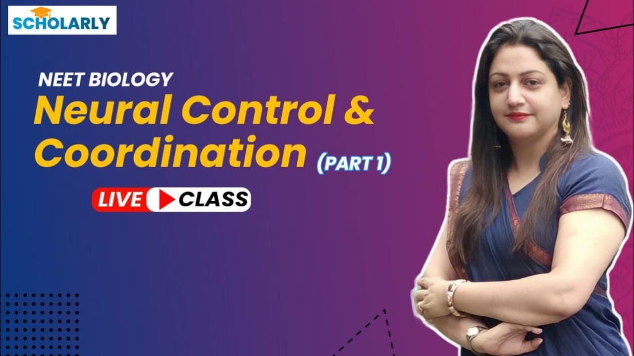 Neural Control & Coordination ( Part 1  ) | Human Phisiology | NEET Biology