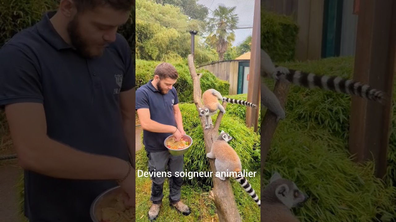 Zootechnik - &Eacute;cole de Soigneur Animalier