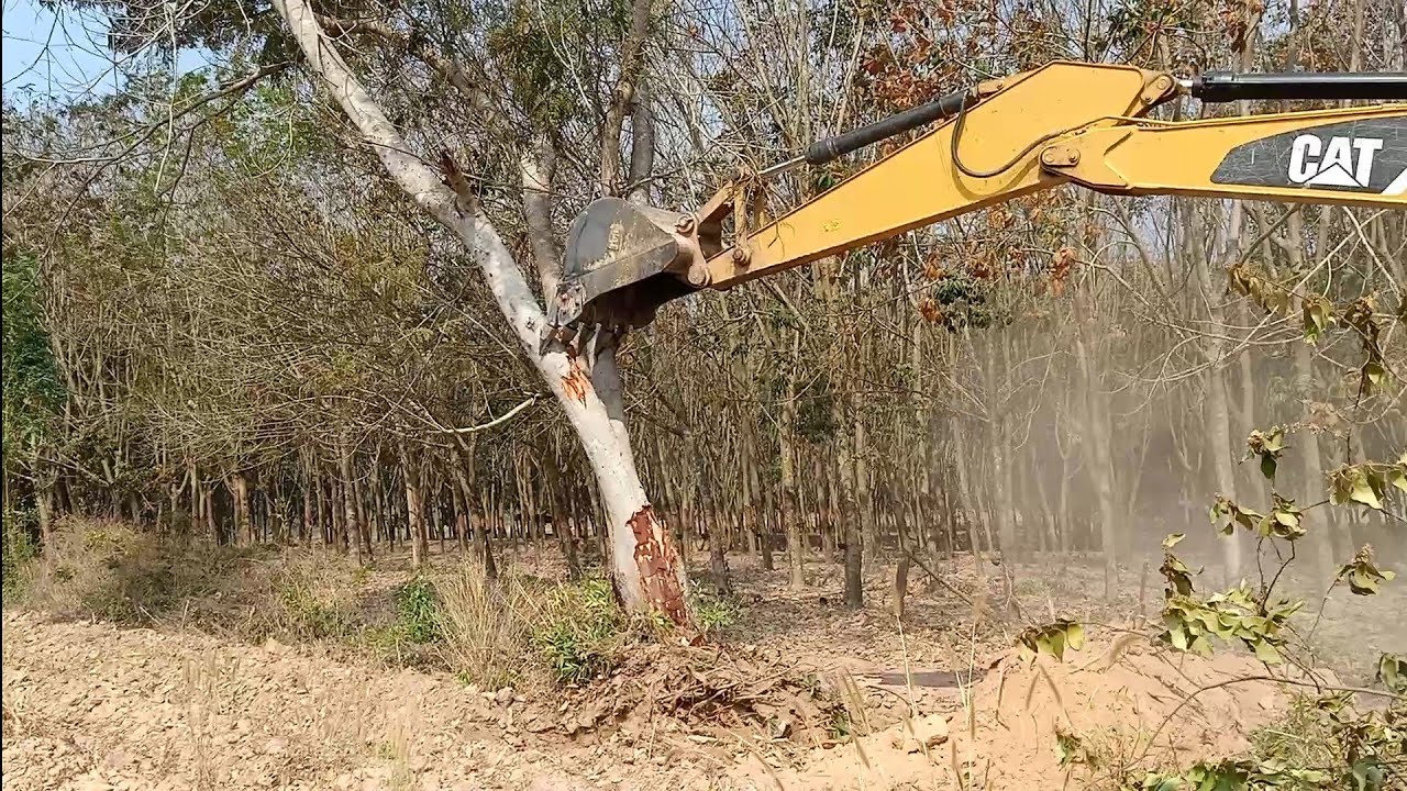 หัวหน้าจร๊ยต่อให้ช่างเขียวก่อนเลย...ใครชนะมาดูกัน