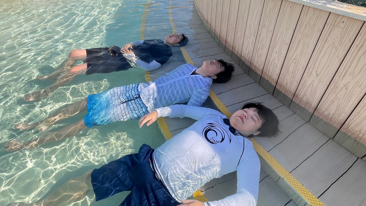 덴지쿤 사실은 말이야