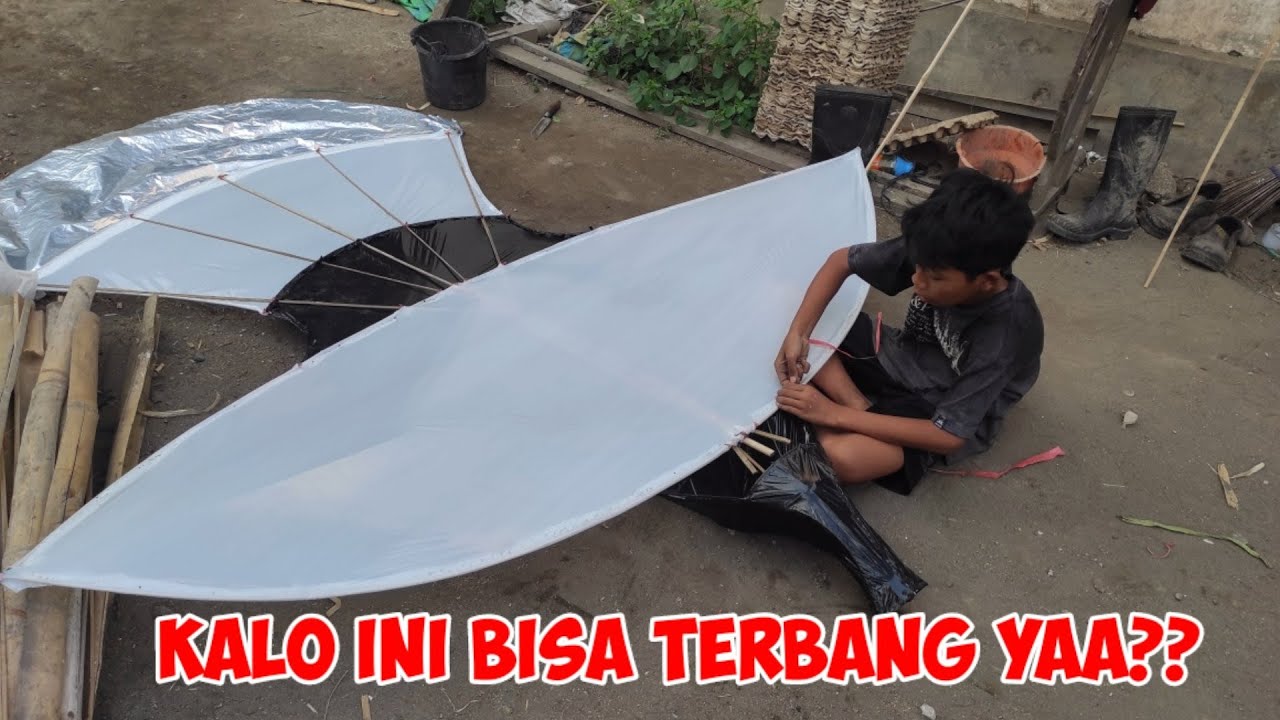 BOCIL DANIS KEMBALI BIKIN LAYANGAN JANGGAN KUIR BALI JUMBO 220 CC