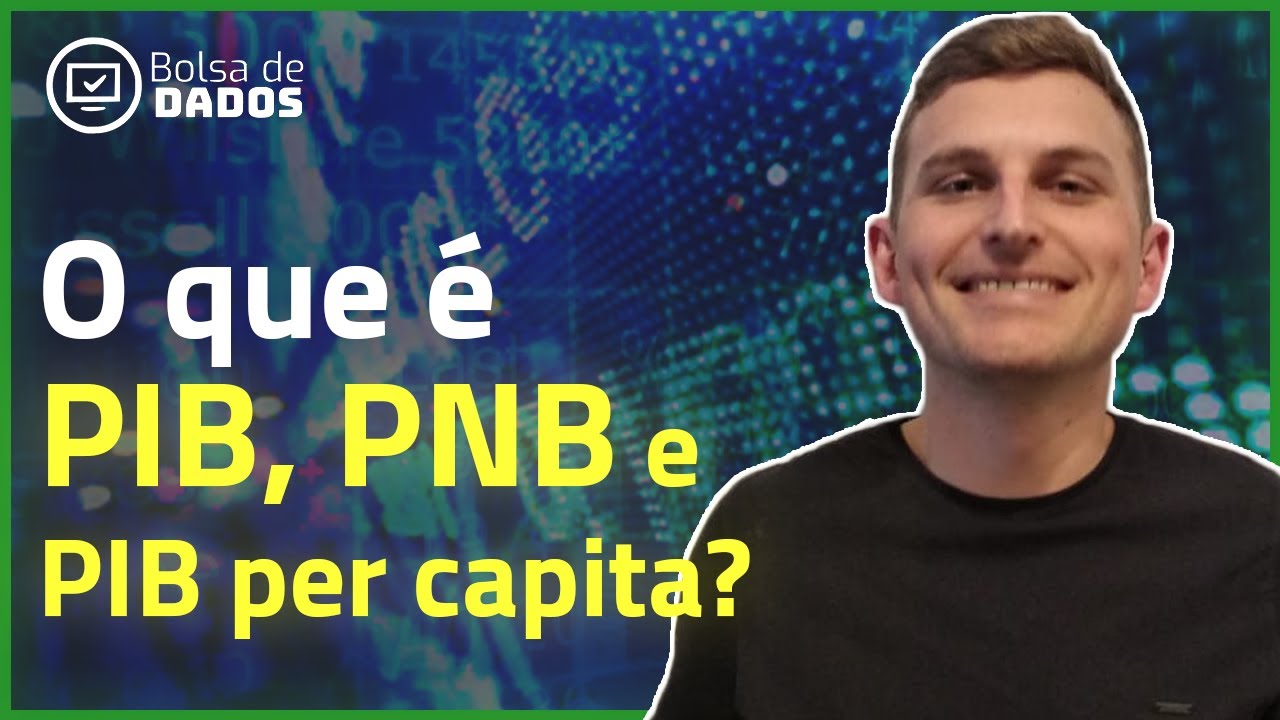 O QUE É PIB? QUAL A RELAÇÃO ENTRE PIB, PNB E PIB PER CAPITA.