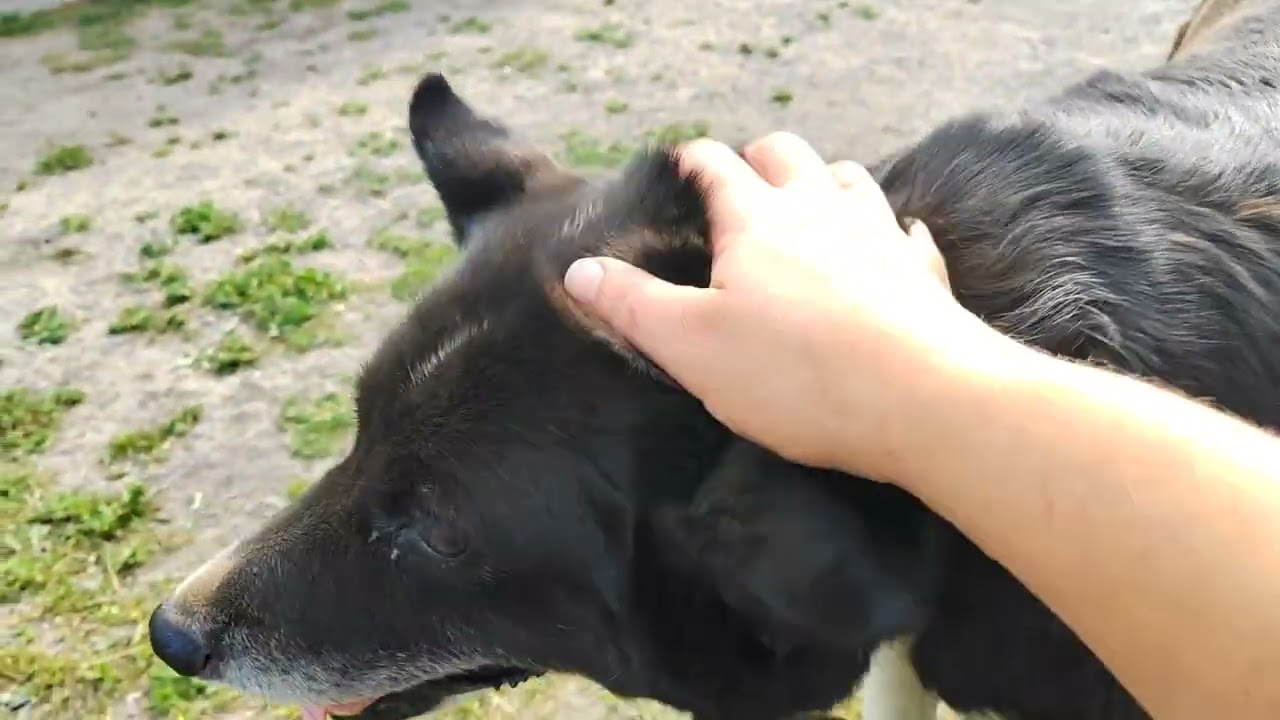 Я Опять вся в Краске🫣 Работа Сделана, Вечером Можно  Расслабиться!28.06.25