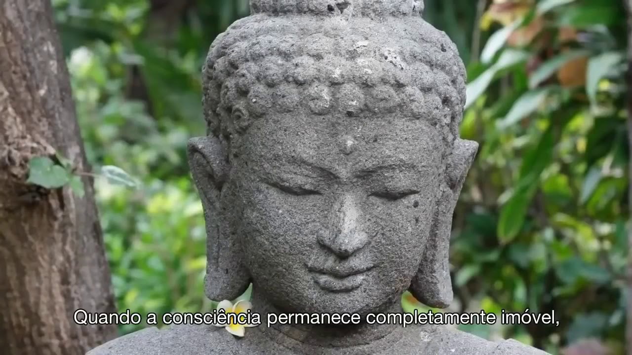 Mundos Internos, Mundos Externos &ndash; Document&aacute;rio Completo HD (legendado)