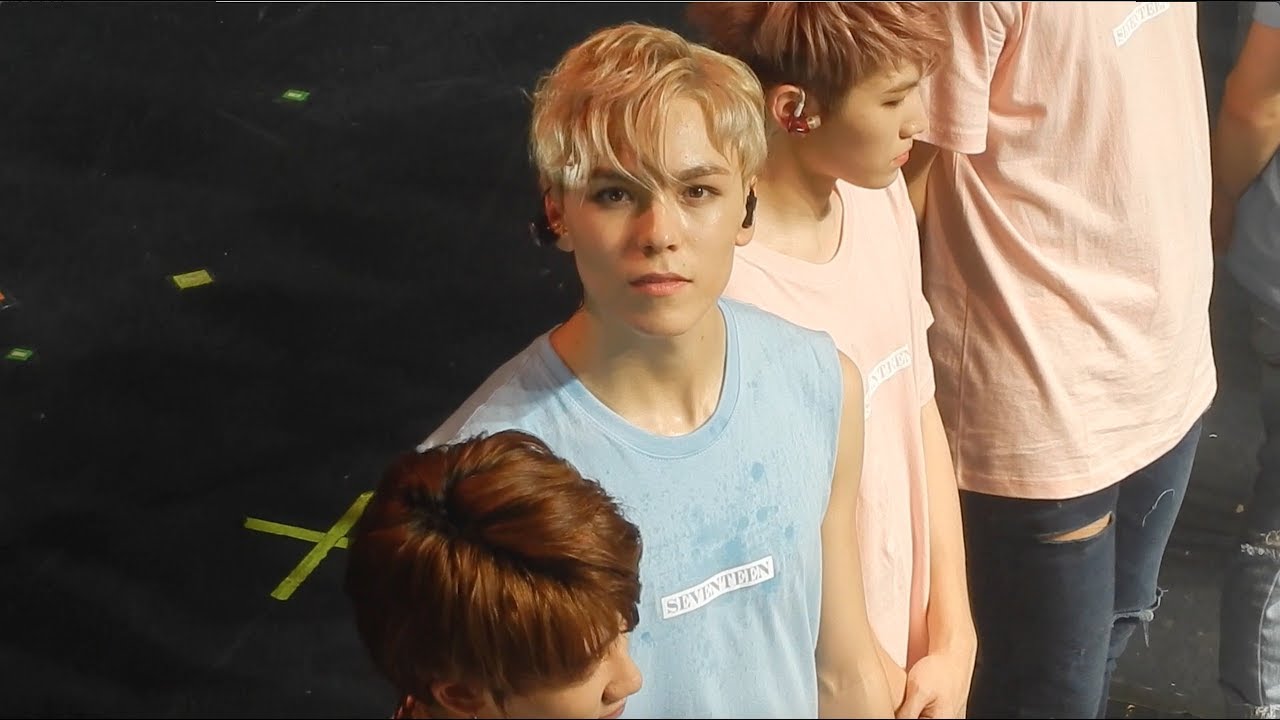 SEVENTEEN LOOKED AT ME!   (NYC CONCERT FANCAM)