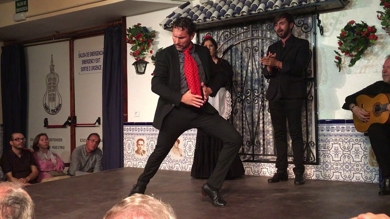 Man flamenco Peña cultural Flamenca Torres Macarena Sevilla
