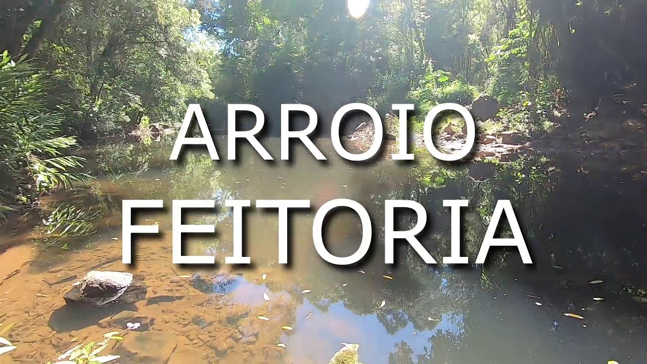 Arroio Feitoria: Da nascente a foz e sua importância para Dois Irmãos