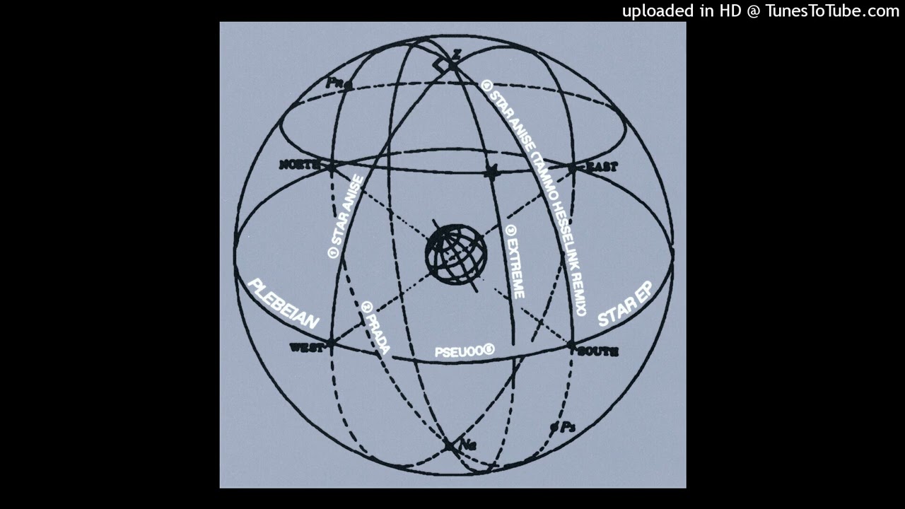 Plebeian - Star Anise (Tammo Hesselink Remix)