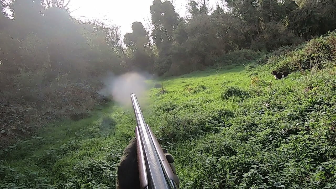 Pheasant and woodcock Hunting November 1st 2021