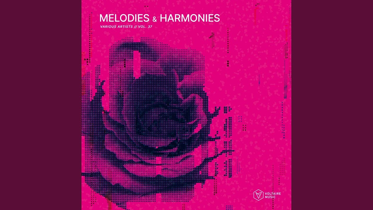 Freedom (Stereo Express Remix)