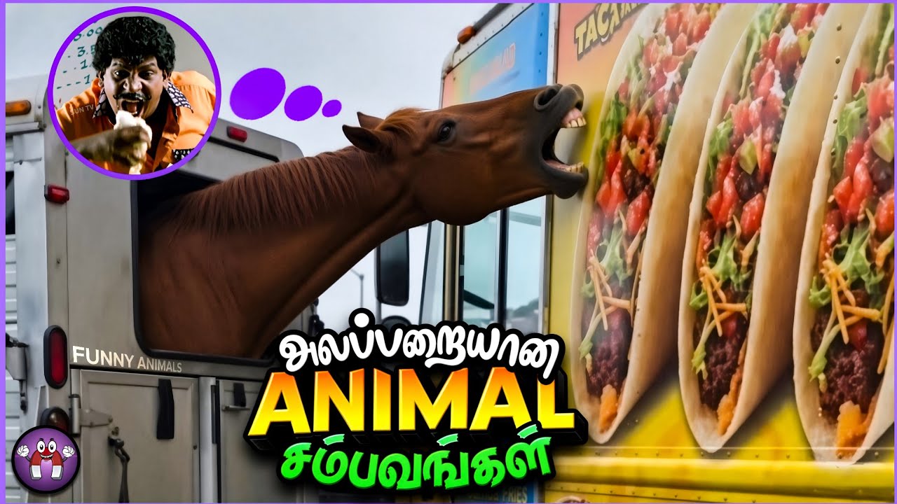 சிரிப்பான விலங்குகள் சம்பவங்கள் | Funny Animal | The Magnet Family 2.0