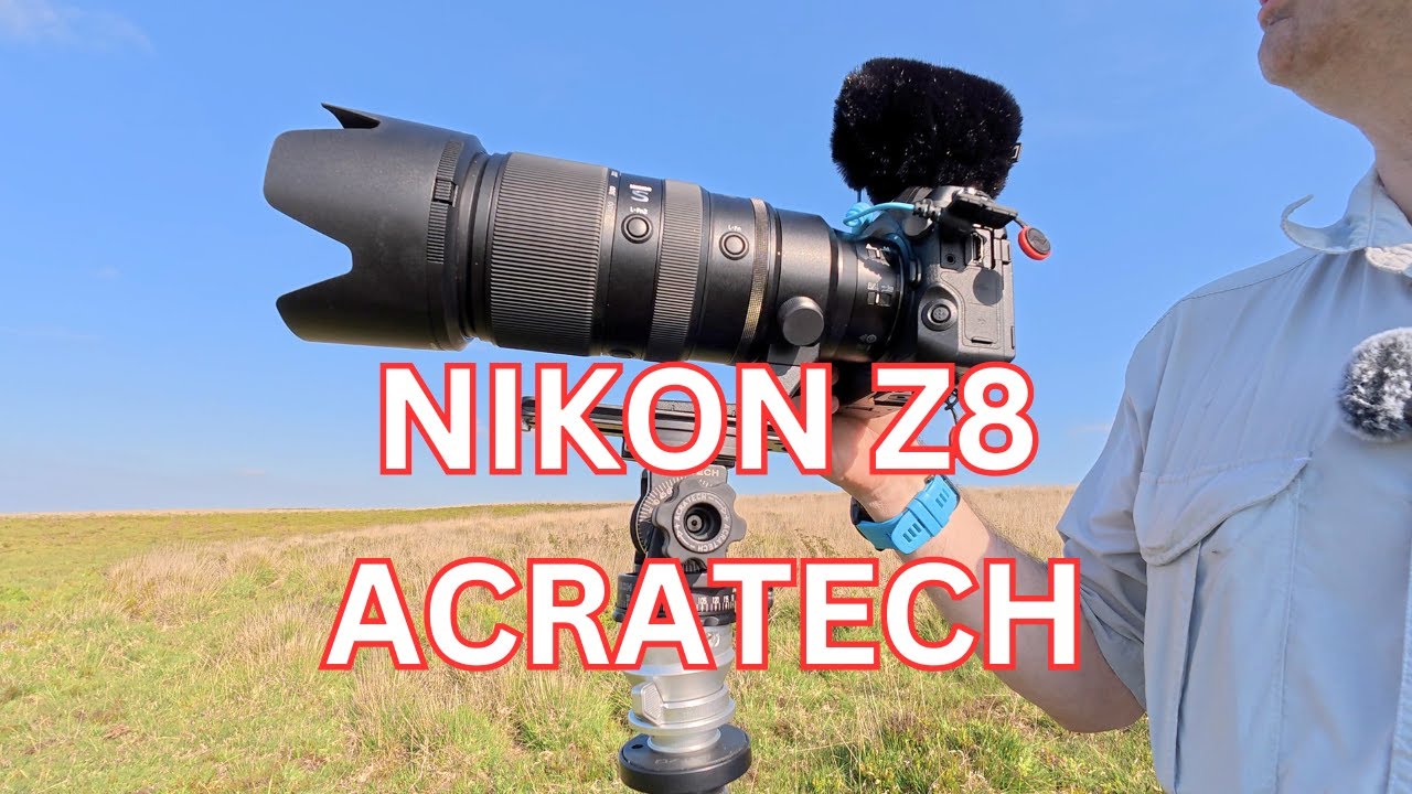 Birds in flight! How good is this Camera Gear?