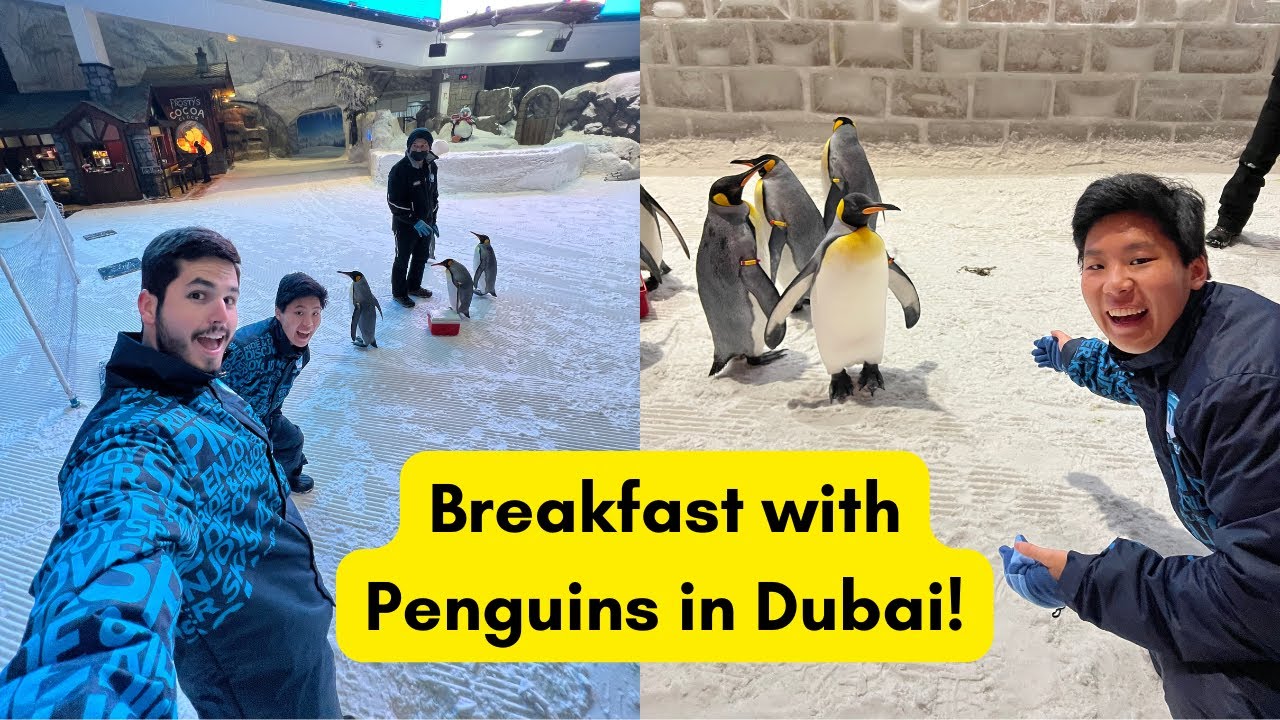 Breakfast with Penguins at Ski Dubai!