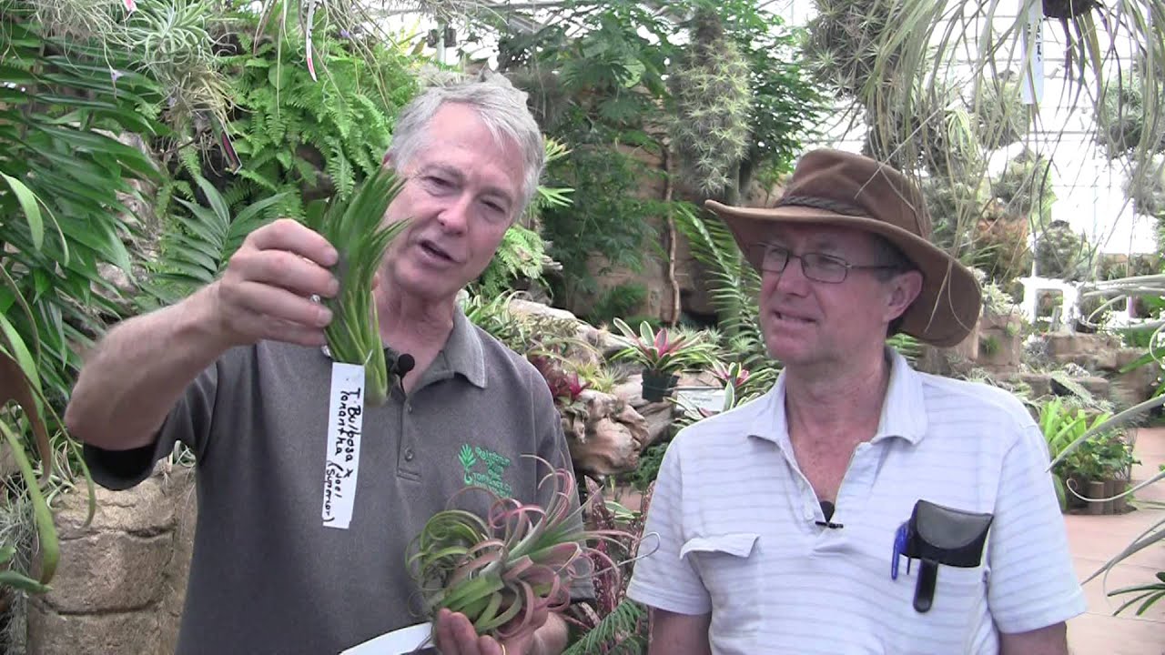 Barry Landau's Tropical Planet - Visit To Rainforest Flora / Peter & Paul