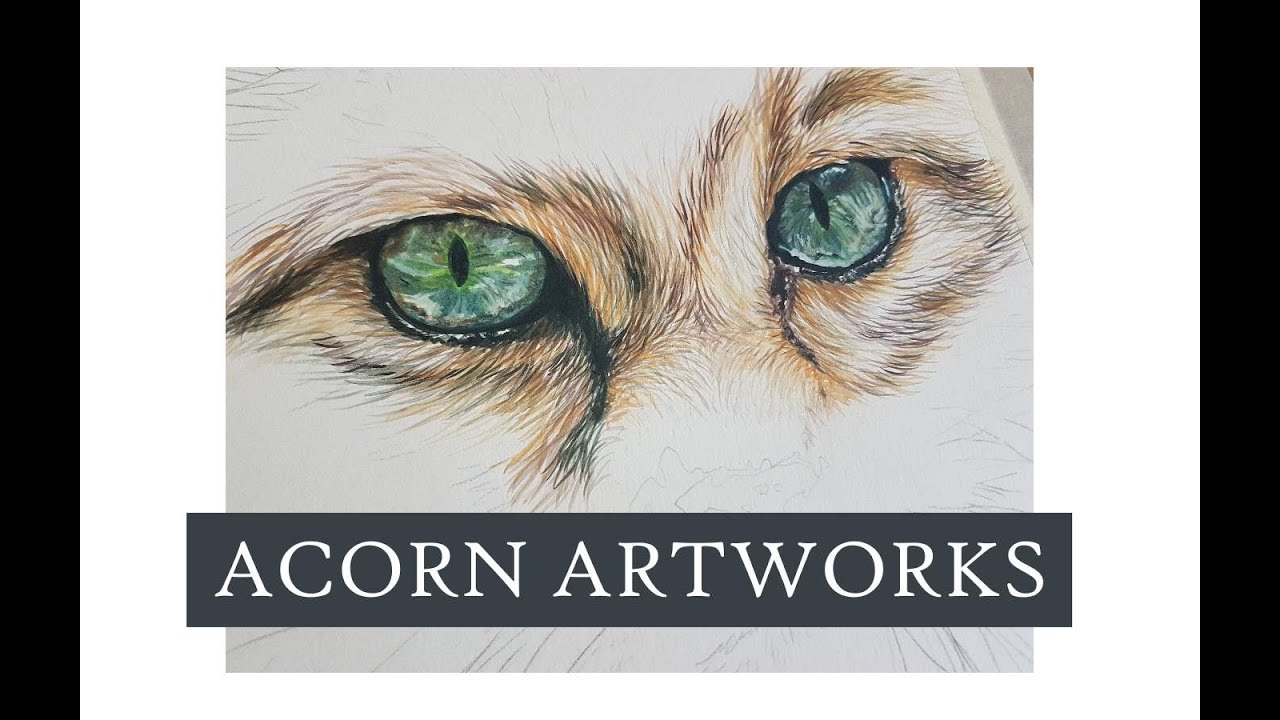 Acorn Artworks - Painting Eyes and Fur with Inktense (Part 1 of 3 Deconstructed painting of a Cat)