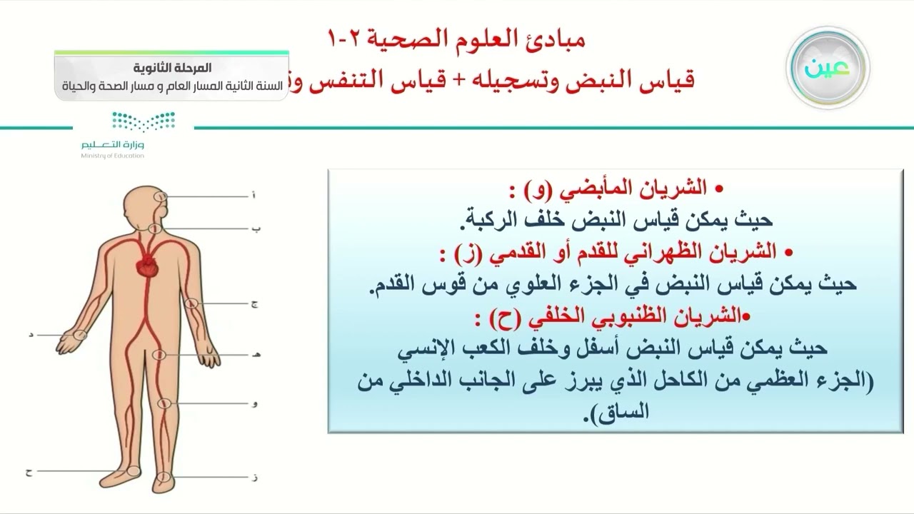 قياس النبض وتسجيله +قياس التنفس وتسجيله - مبادئ العلوم الصحية - المسار العام والصحة والحياة
