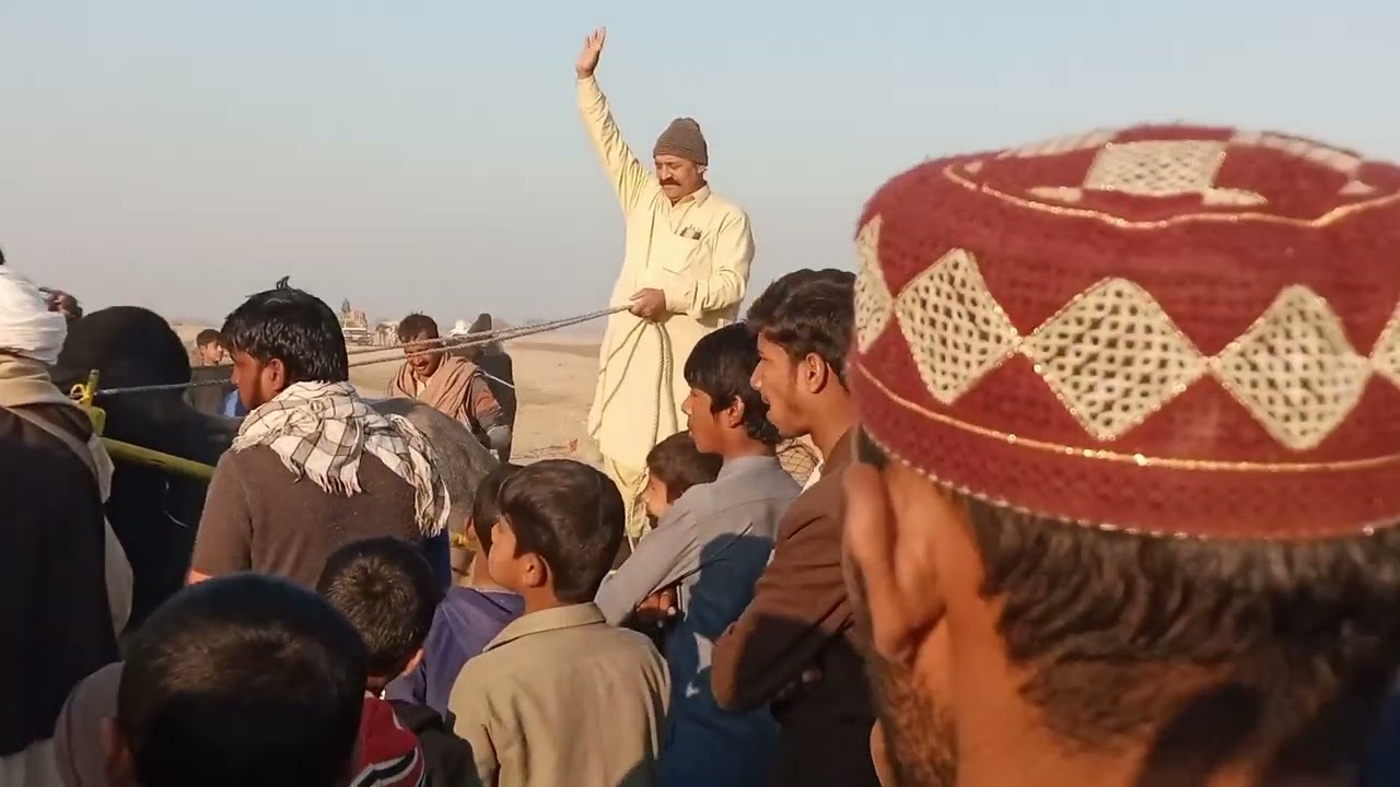 Bahawalpur ka bahut bada jalsa bailon ka Maine Nahin dekha
