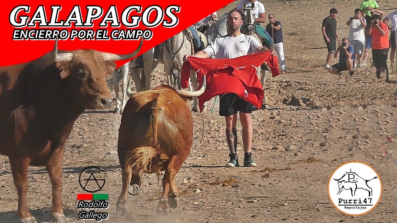 ENCIERRO POR EL CAMPO - GALAPAGOS 🌾EL ARRANQUE DE LA TEMPORADA 2025🌾🔥👀