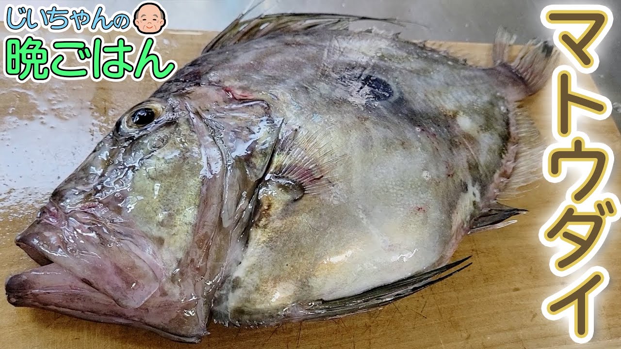【爺ちゃんの晩ご飯】マトウダイを捌いてお寿司を作ったら、じいちゃんも大満足だったよ！【おじ寿司】開店！