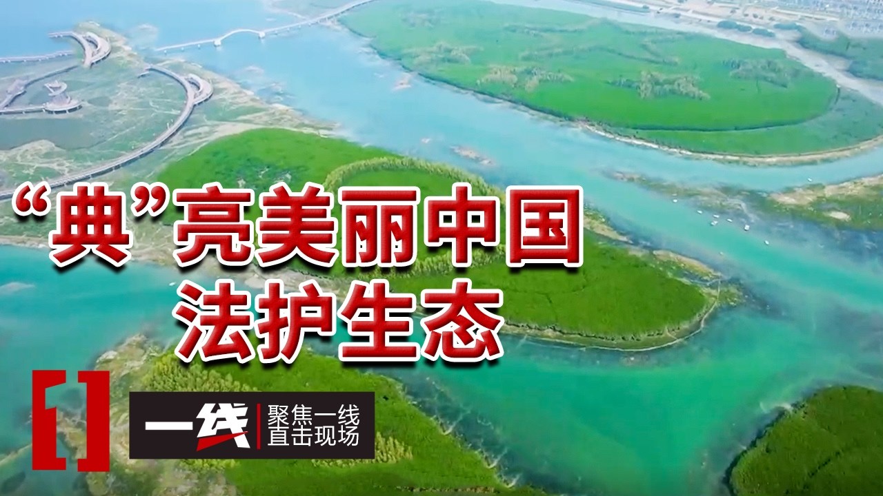 《一线》一部法典 亿万人的期待 守护每个人的&ldquo;烟火人间&rdquo; 20260312