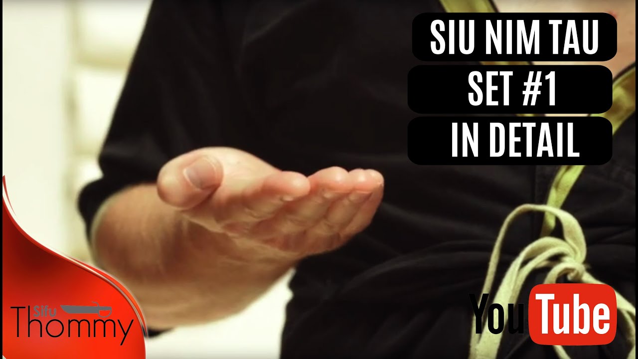 Siu Nim Tau set#1 explained in detail