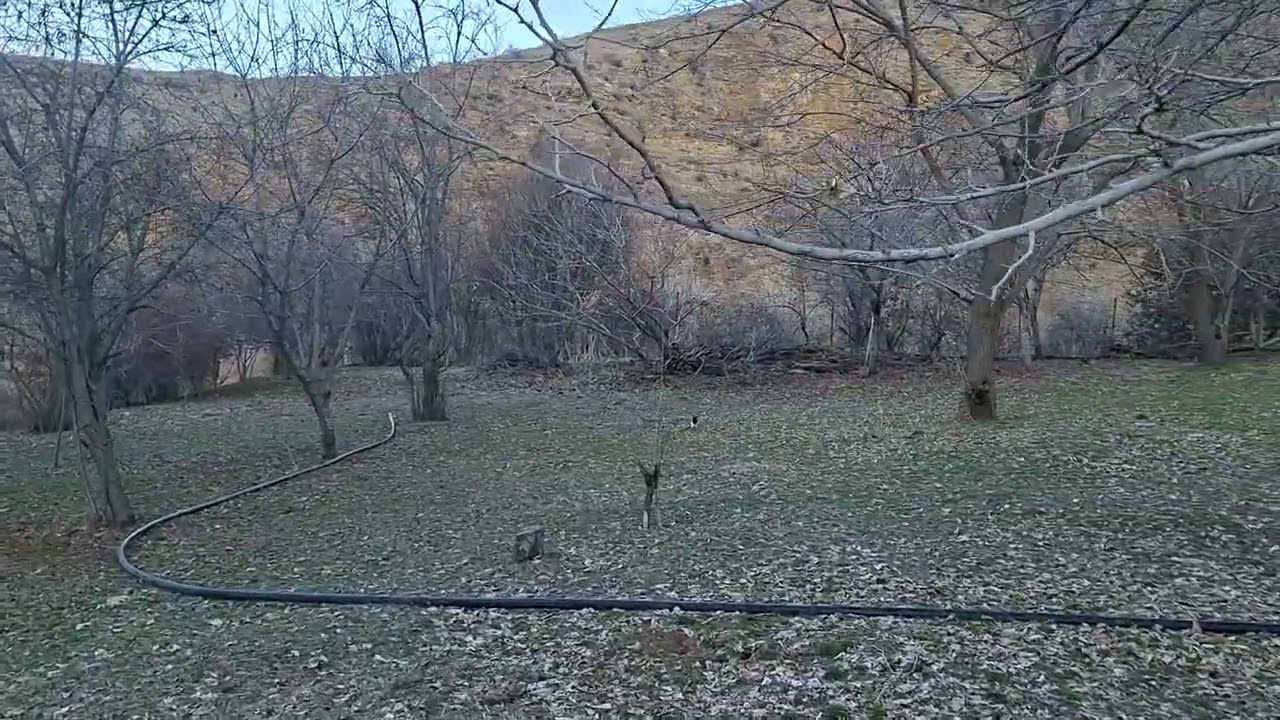 Səhər-səhər bağa girdim...