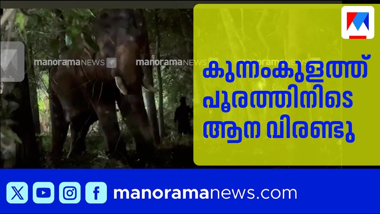 കുന്നംകുളം അന്നംകുളങ്ങര പൂരത്തിനിടെ ആന വിരണ്ടു | Kunnamkulam | Elephant