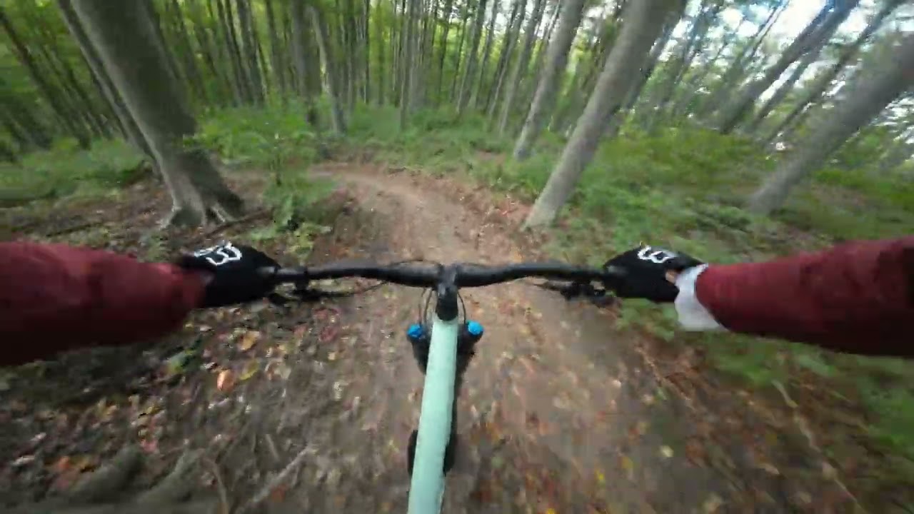 Sauberg & Blackberry Trail Vienna / Muddy Edition / Specialized Status 160