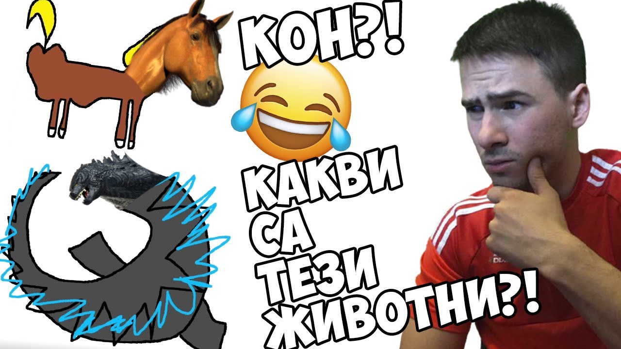 Най-Странните животни?!