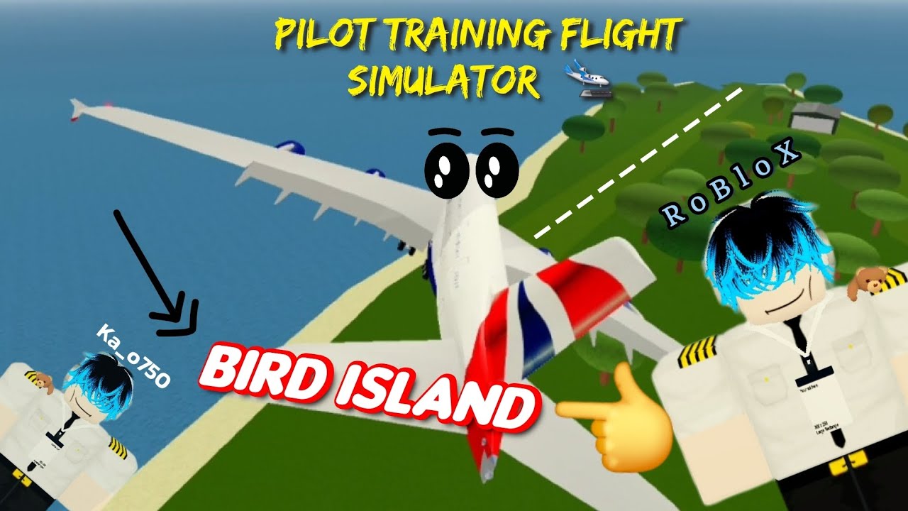 Go to BIRD ISLAND (pilot training flight simulator) #roblox 