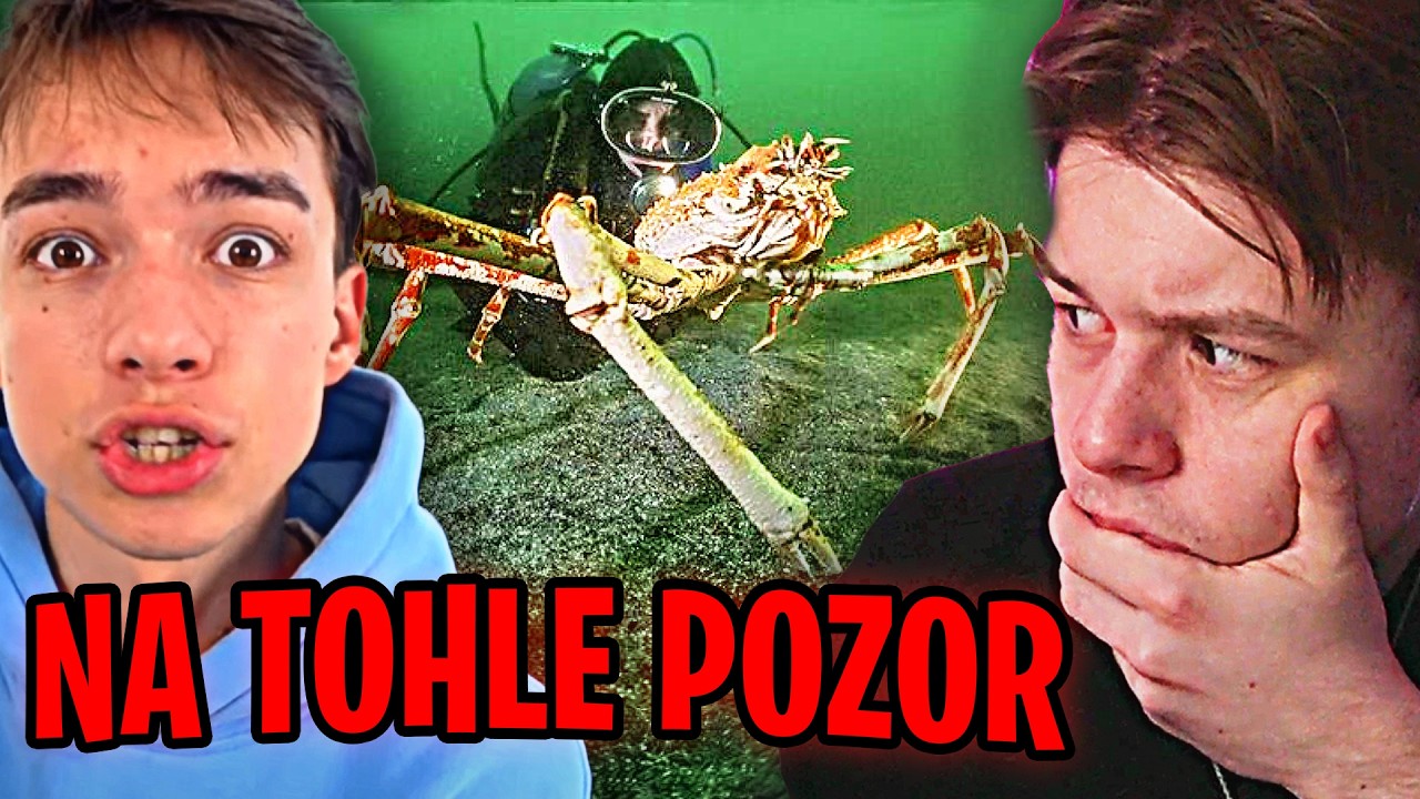 Tohle ve vodě fakt nechceš vidět 😨 | Tadeáš