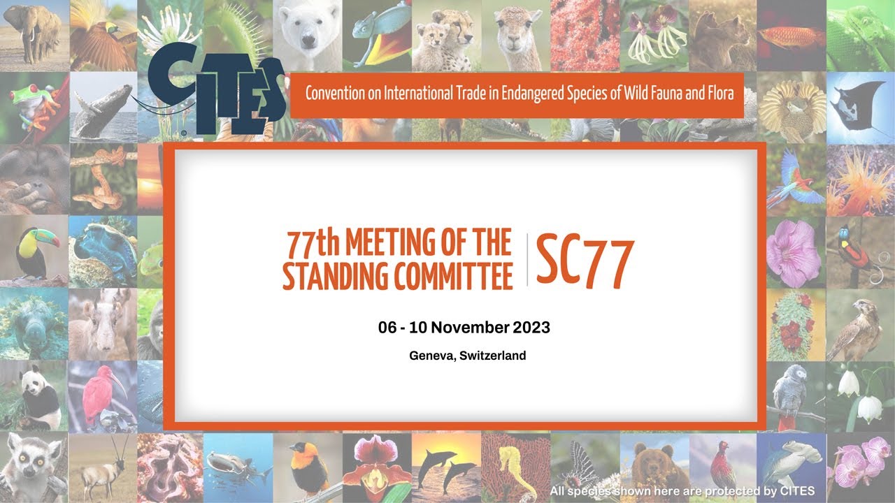 77th Meeting of the CITES Standing Committee - Morning (November 07)
