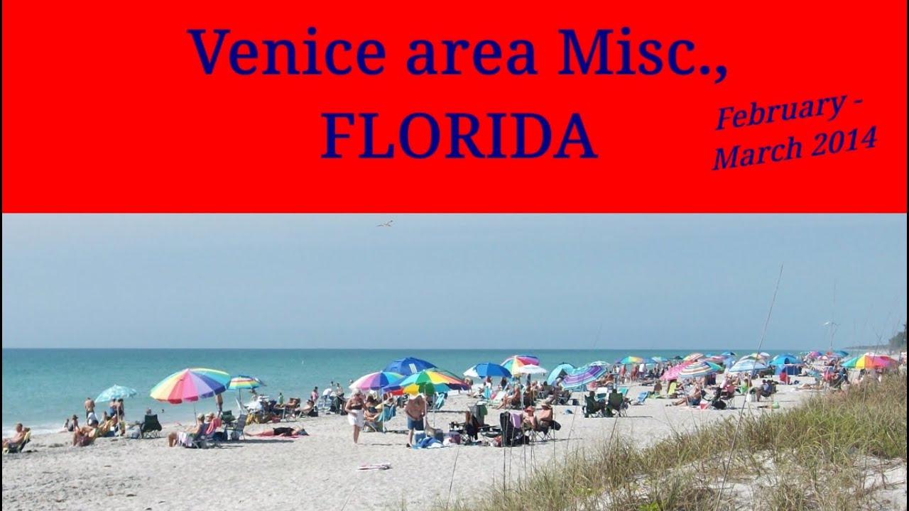 Florida Venice area Misc 2014