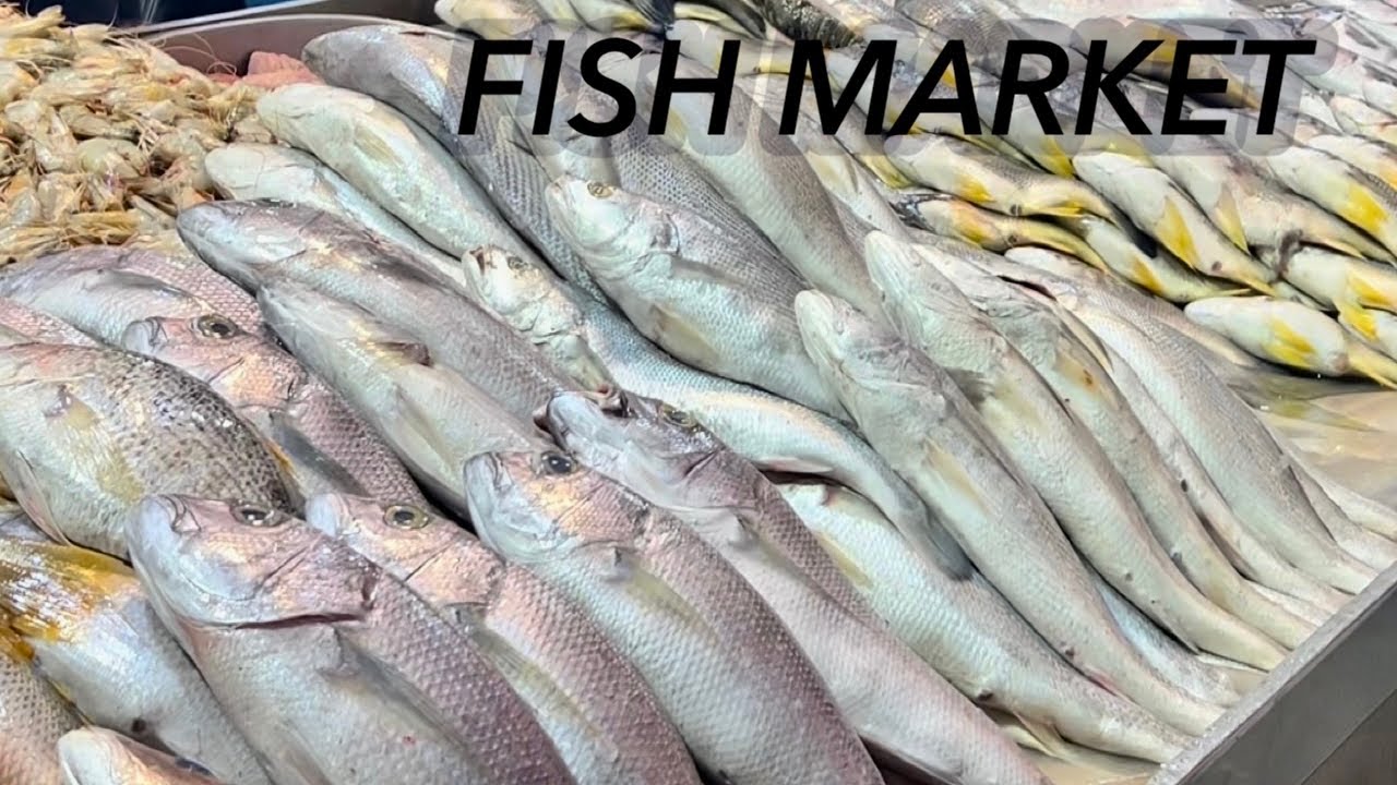 Fish market Karachi | kemari fish market | machi market in kemari | fresh fish in kemari fish market